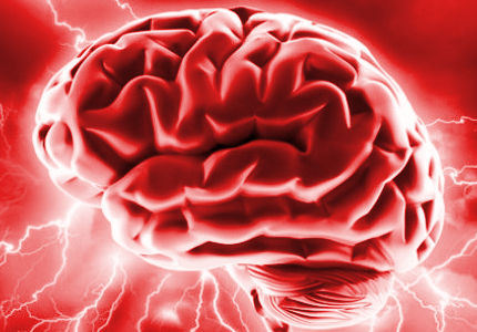 brain
